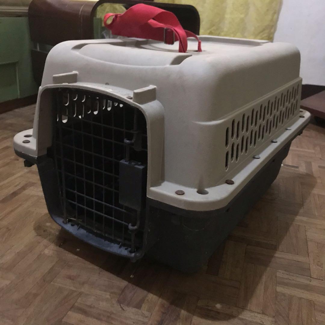 medium sized dog travel crate