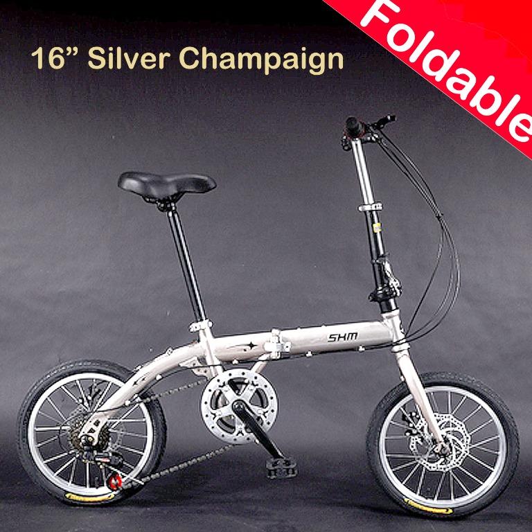 big folding bike