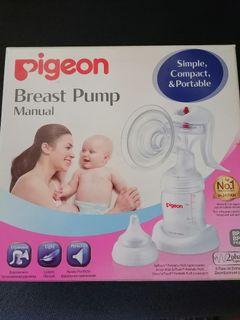 Baby Pigeons Nursing Feeding Carousell Philippines