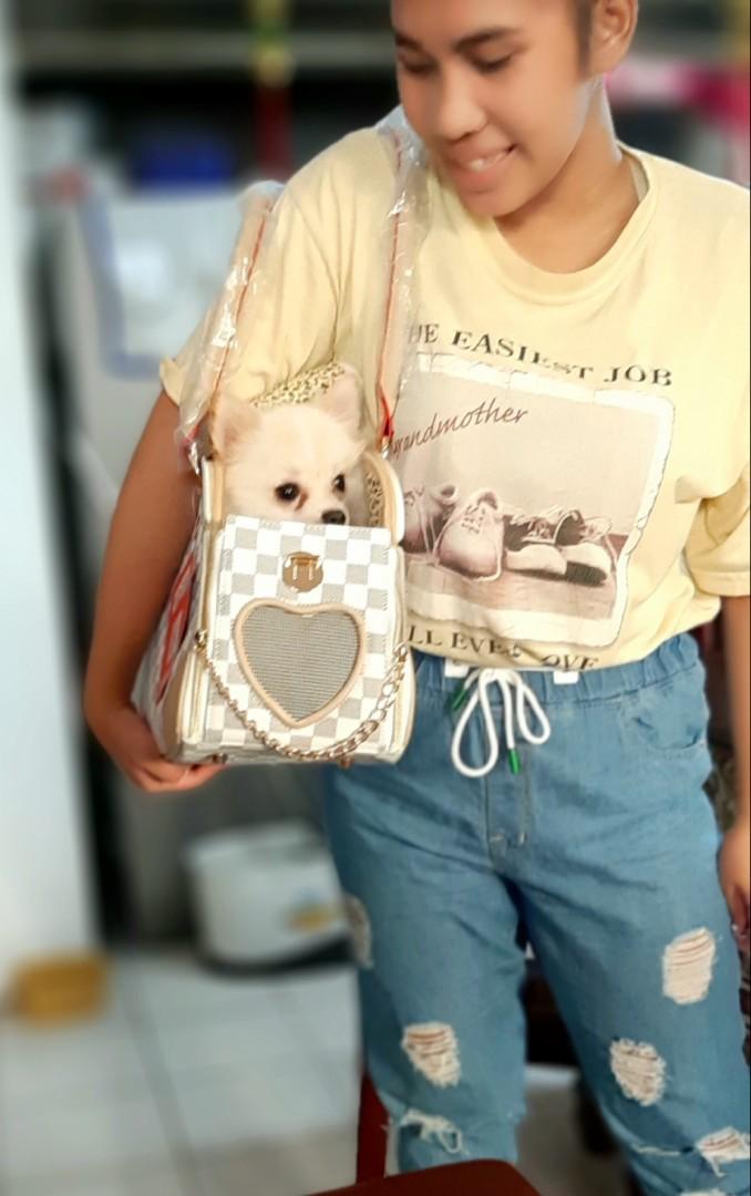 Stylish Pet Carrier Bag Cat Dog Pets Supplies Pet Accessories On Carousell