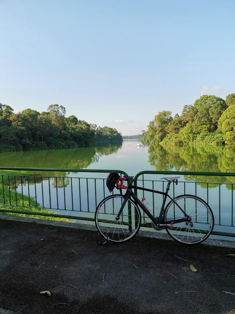 Trek madone h2 on sale geometry