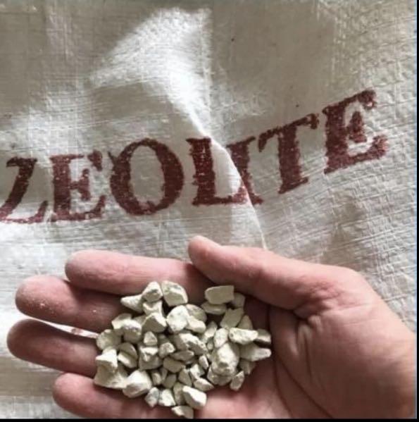 Zeolite Aquarium Ammonia 1kg 5 Fluval And Eheim Filter On Sale Pet Supplies For Fish Fish Tank Accessories On Carousell