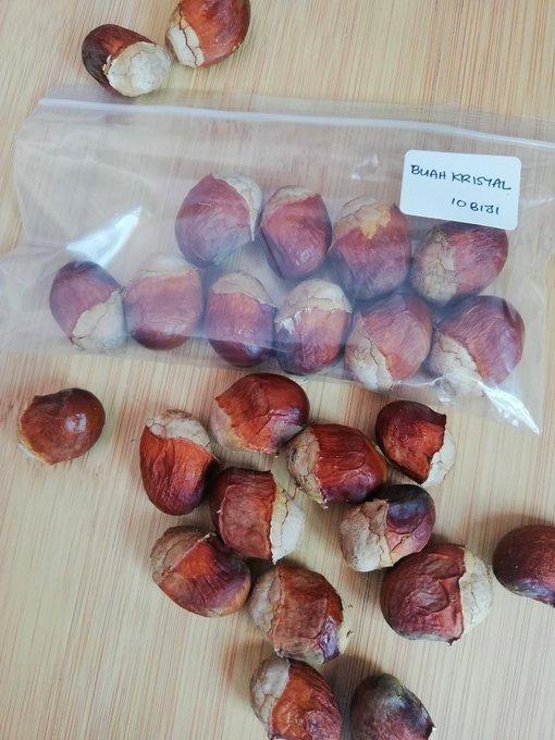 Biji Benih Buah Kristal Laici Brazil Home Furniture Gardening On Carousell