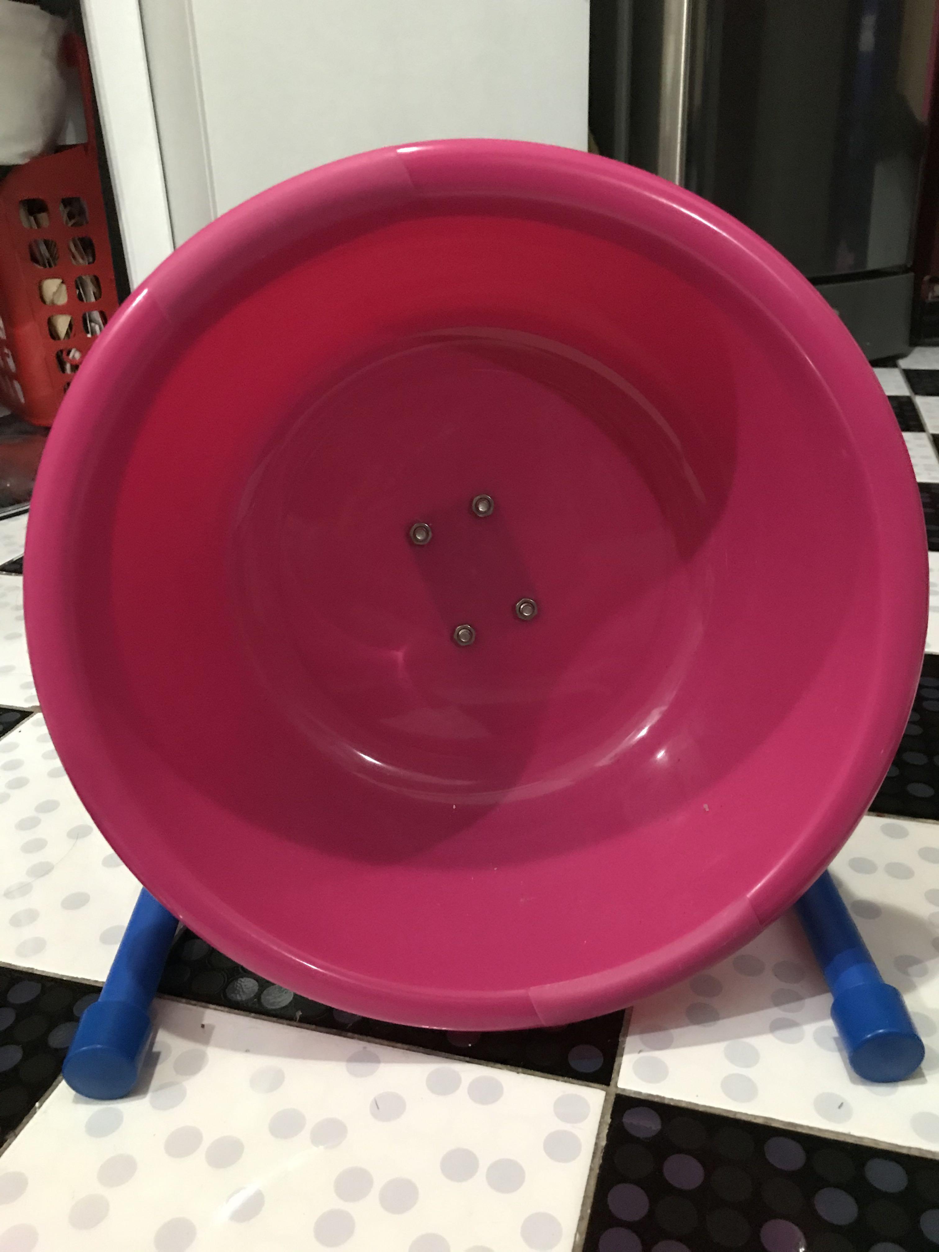 pet hedgehog accessories