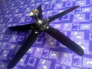 (Category: ) located in . Submitted by cielini (Listing ID 1019139085, Image 1). Description: .