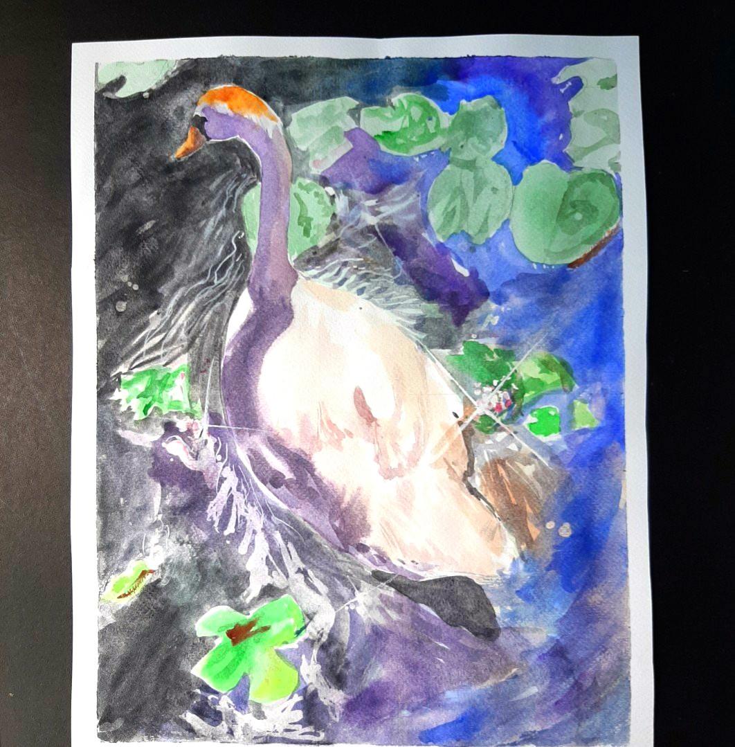 The Swan (Category: Art & Prints) located in Caloocan City. Submitted by avin_pamplina (Listing ID 1019079325, Image 1). Description: Daniel Smith watercolors on Fabriano Actual size of art is 12x15. But, it has extra 3 inch height white space below so you can write something or a dedication..