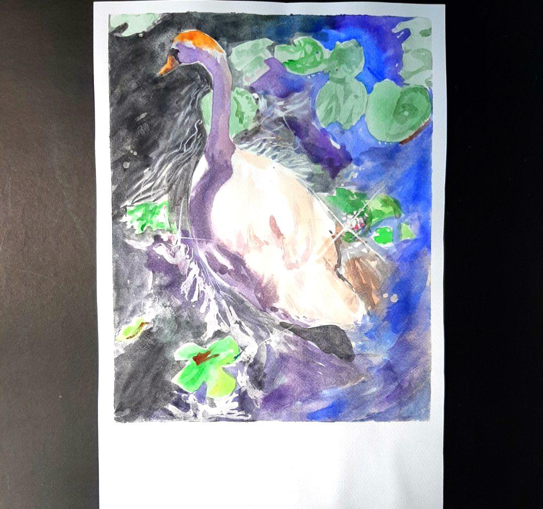 The Swan (Category: Art & Prints) located in Caloocan City. Submitted by avin_pamplina (Listing ID 1019079325, Image 2). Description: Daniel Smith watercolors on Fabriano Actual size of art is 12x15. But, it has extra 3 inch height white space below so you can write something or a dedication..