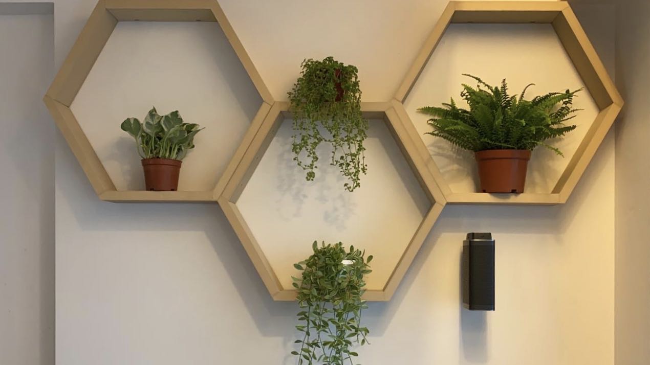 Wooden hexagon wall shop shelves