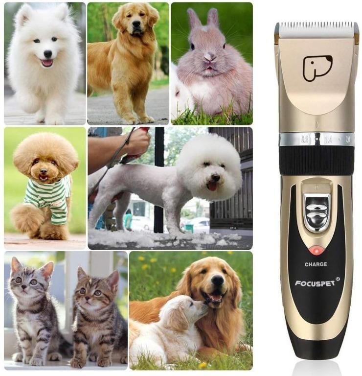 focuspet dog clippers