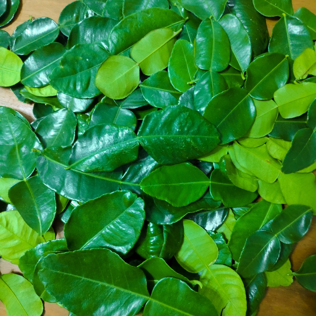 Fresh Kaffir Leaves (25 whole pieces)