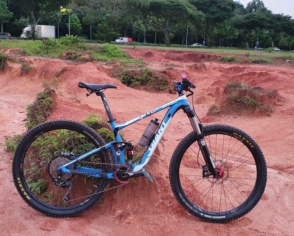 Giant anthem x29 2014 shop
