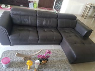 (Category: ) located in . Submitted by coastal (Listing ID 1019394487, Image 1). Description: .