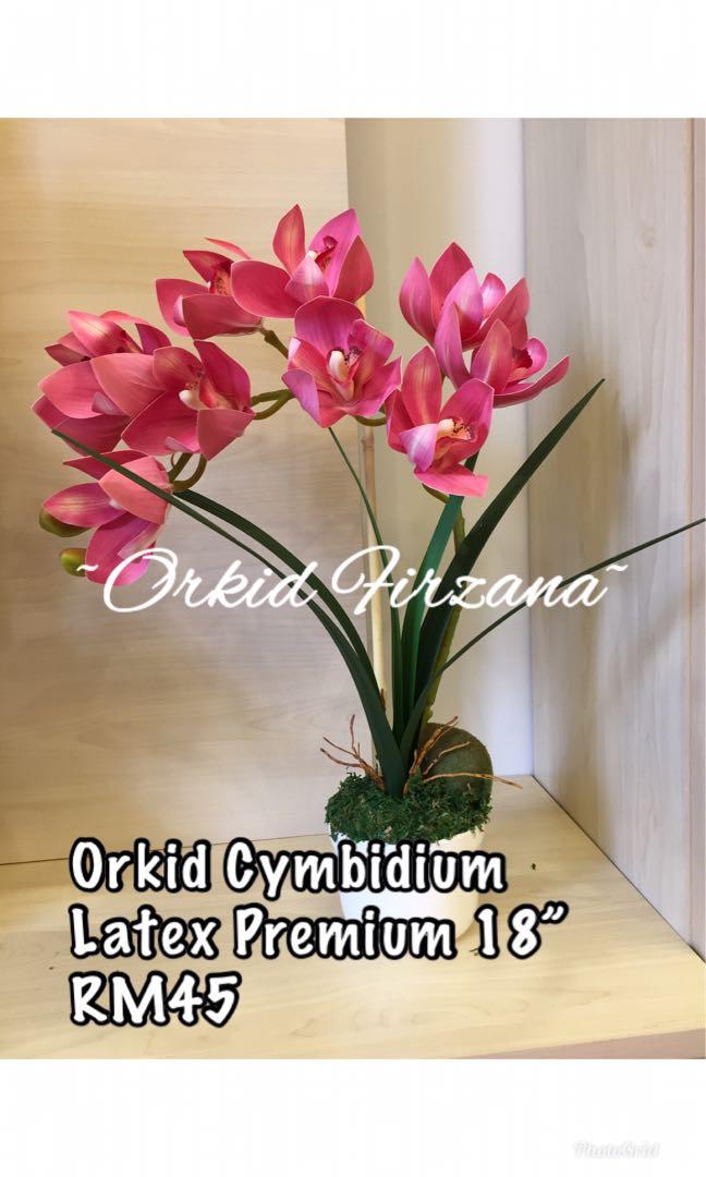 Orkid Cymbidium Latex Premium Home Furniture Home Decor On Carousell
