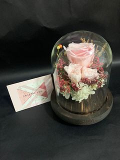 (Category: ) located in . Submitted by doris_florist (Listing ID 1019468066, Image 1). Description: .