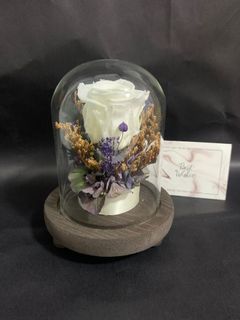 (Category: ) located in . Submitted by doris_florist (Listing ID 1019468763, Image 1). Description: .