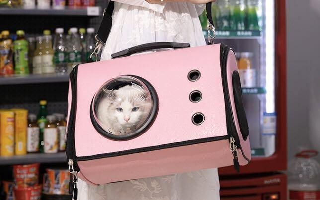 cat in the bag cat carrier