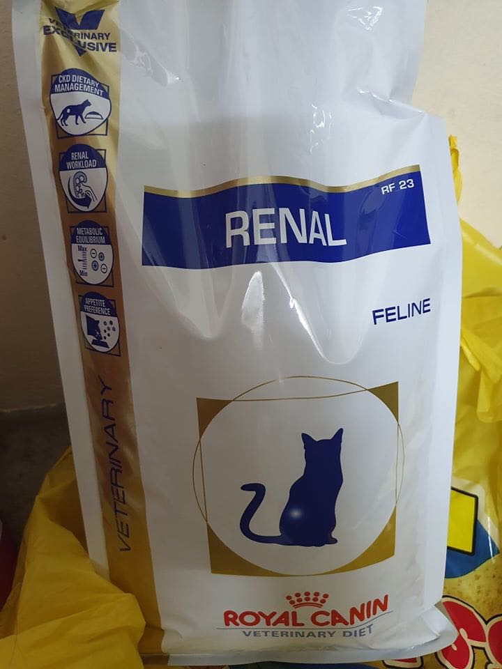 Renal For Cats Pets Supplies Pet Food On Carousell