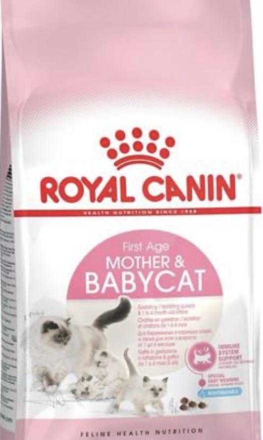 royal canin mother and baby cat 10kg