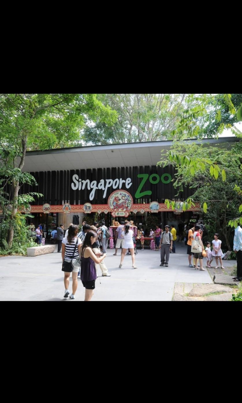 Zoo eticket 2 pax with giraffe feeding, Tickets & Vouchers, Local