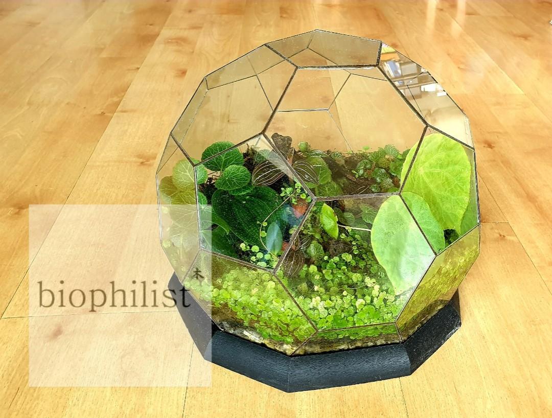 Eden Glass Dome Terrarium set with plants), Furniture & Home