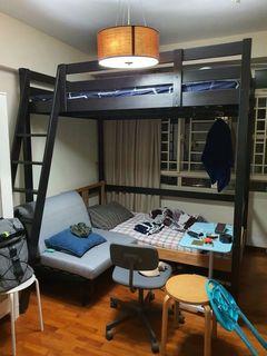 LOFT BED
