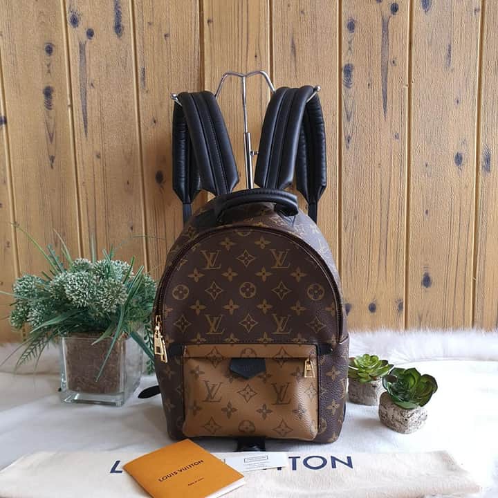 QUICK REVIEW  Louis Vuitton Palm Springs PM  Why its the BEST LV  BACKPACK  YouTube