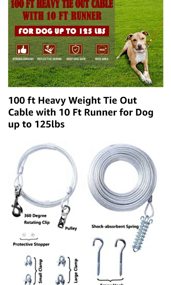 100 ft dog tie out