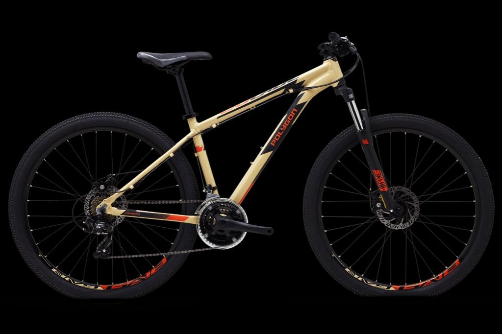 polygon cascade 4.0 review