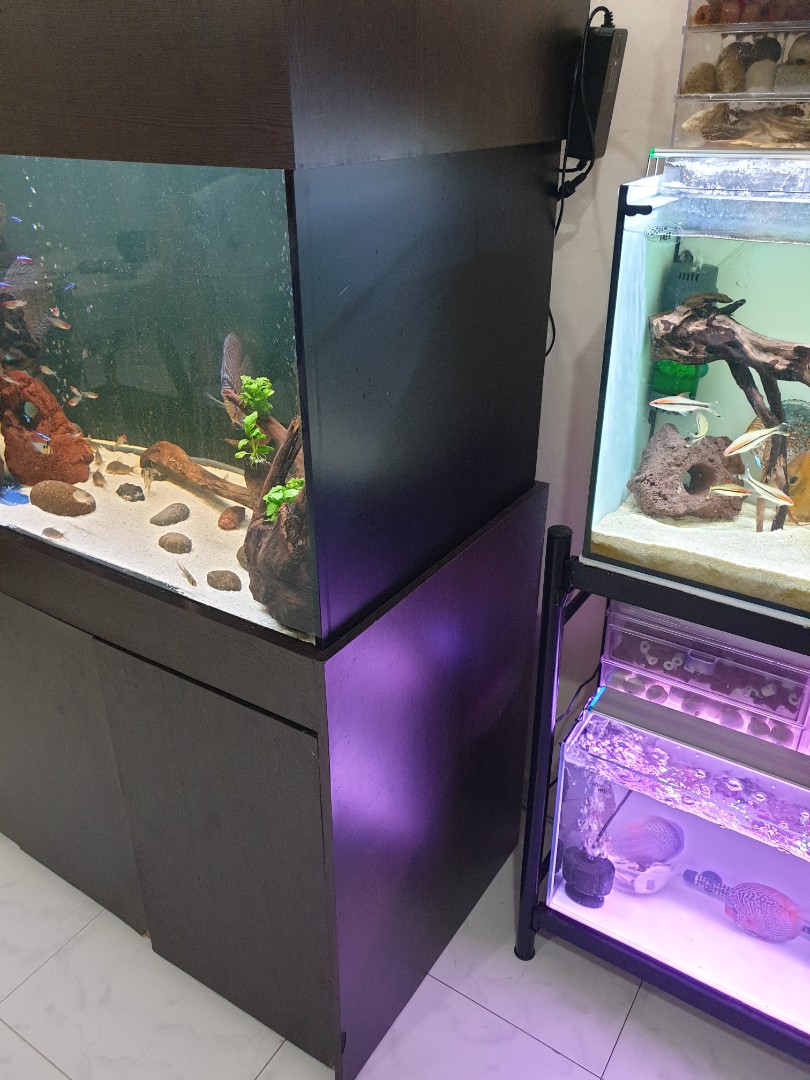 4 Ft tank with cabinet 3ft sump