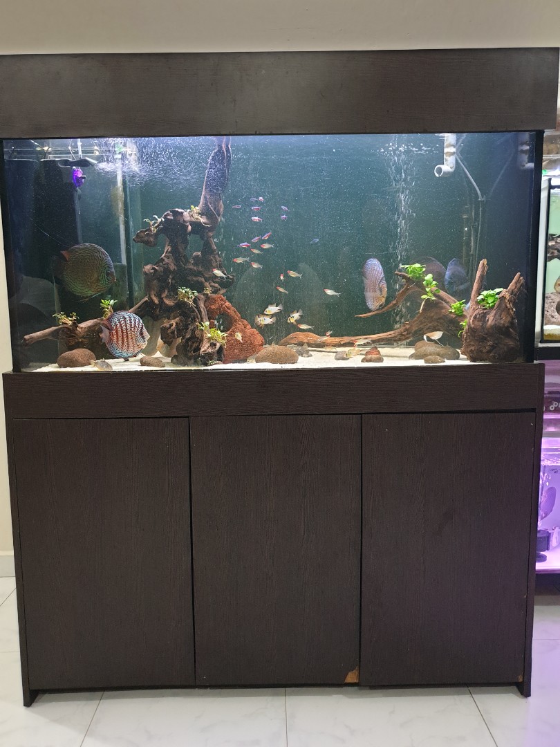4 Ft tank with cabinet 3ft sump