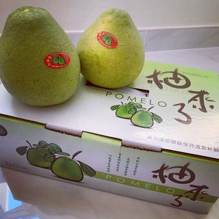 （分類：）位於 。 由 teresina119 提交（商品編號 1027393475，圖片 1）。簡介： 。