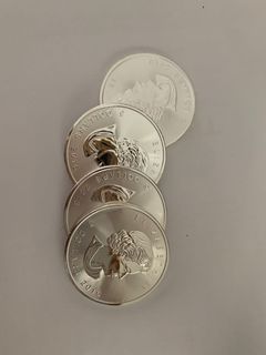 (Category: ) located in . Submitted by jamjamjam (Listing ID 1027391487, Image 1). Description: .