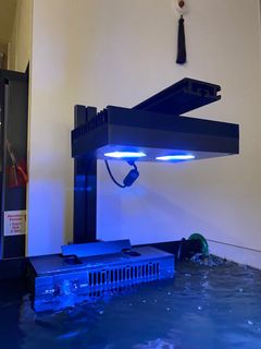 (Category: ) located in . Submitted by graky (Listing ID 1027431292, Image 1). Description: .