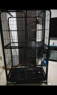 (Category: ) located in . Submitted by ahpuisan (Listing ID 1027241974, Image 1). Description: .