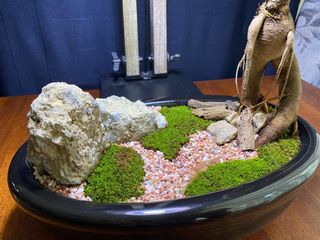 (Category: ) located in . Submitted by bionicrabbit (Listing ID 1027226541, Image 1). Description: .