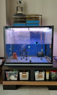 (Category: ) located in . Submitted by renrabbit (Listing ID 1027327331, Image 1). Description: .