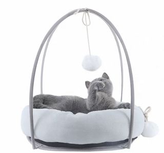 (Category: ) located in . Submitted by shopforall2020 (Listing ID 1027432594, Image 1). Description: .