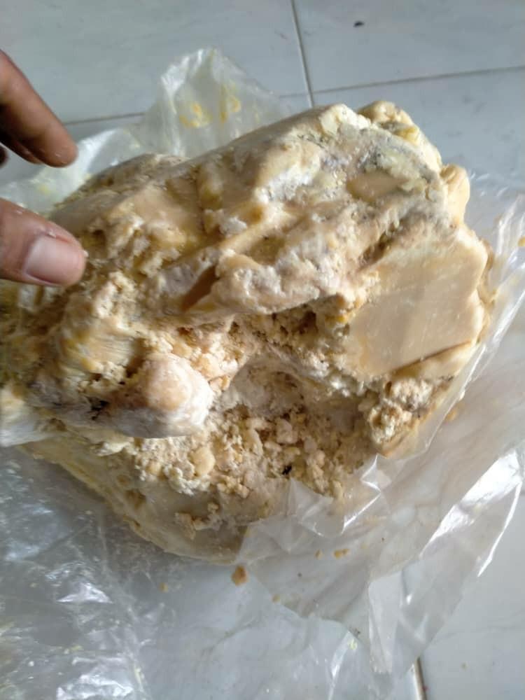 Muntah Ikan Paus Food Drinks Food Drinks Others On Carousell