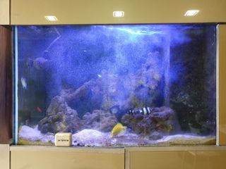 (Category: ) located in . Submitted by weekok (Listing ID 1027276147, Image 1). Description: .