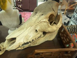 （分類：）位於 。 由 anakin1 提交（商品編號 1027388271，圖片 1）。簡介： 。
