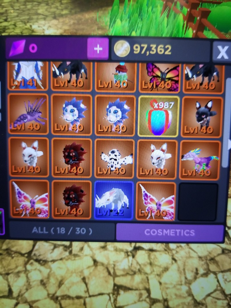 roblox world zero max pets, 電子遊戲, 遊戲機配件, 遊戲禮物卡及帳戶 Carousell