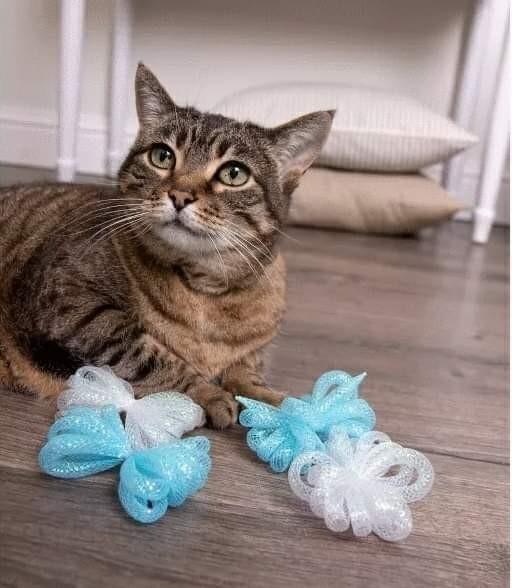 smartykat cat toys