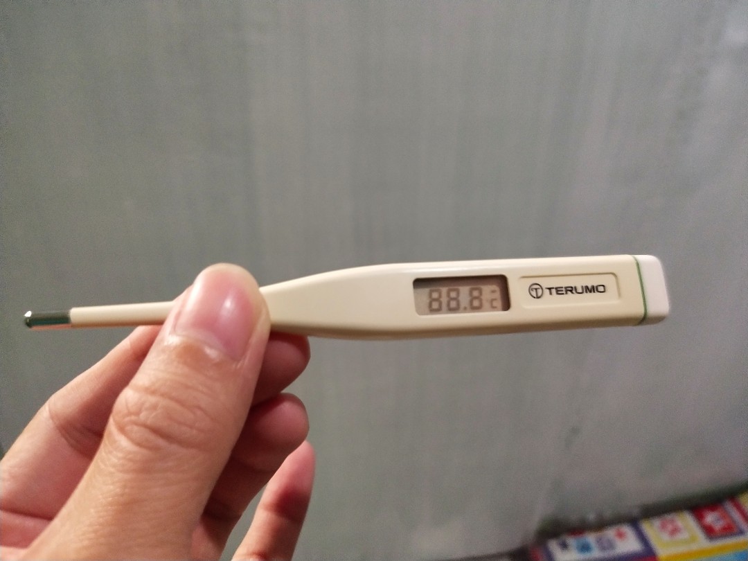 Terumo Thermometer, Health & Nutrition, Thermometers on Carousell