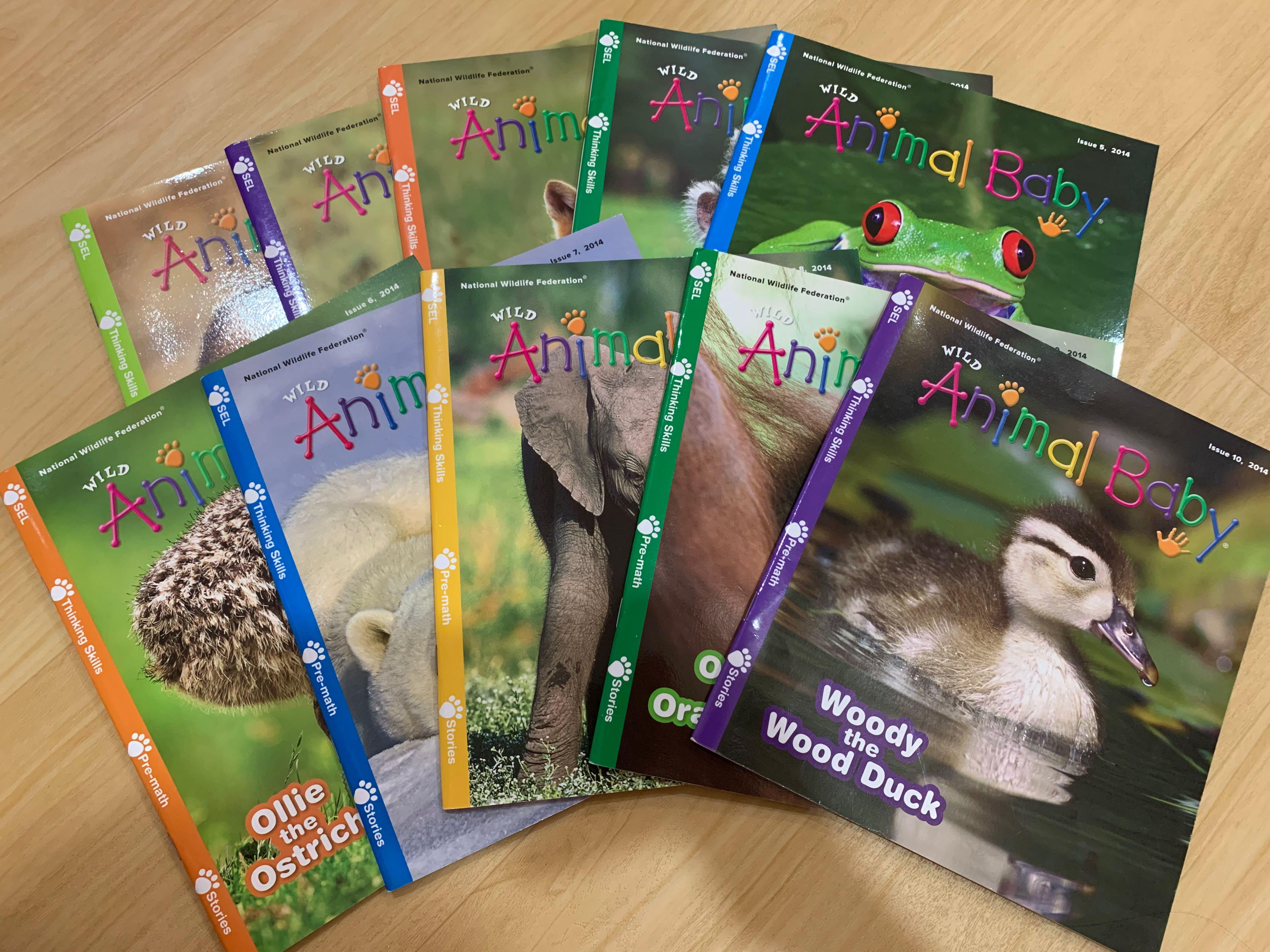 Wild Animal Baby Magazine Hobbies Toys Books Magazines Children S Books On Carousell