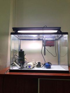 (Category: ) located in . Submitted by yybb2020 (Listing ID 1027578030, Image 1). Description: .