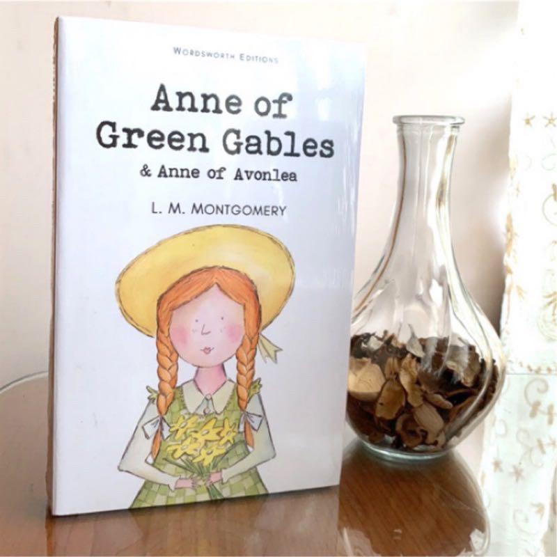 清秀佳人全新原文小說紅髮安妮anne Of Green Gables 英文小說勇敢的安妮novel 圖書 書籍在旋轉拍賣