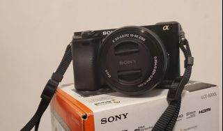 （分類：）位於 。 由 commmma 提交（商品編號 1027541018，圖片 1）。簡介： 。