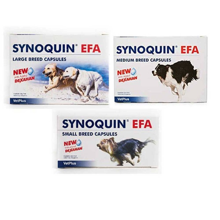 Synoquin efa on sale large breed 120