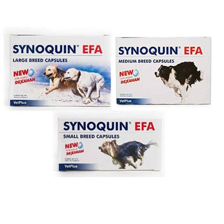 synoquin large breed 120 capsules