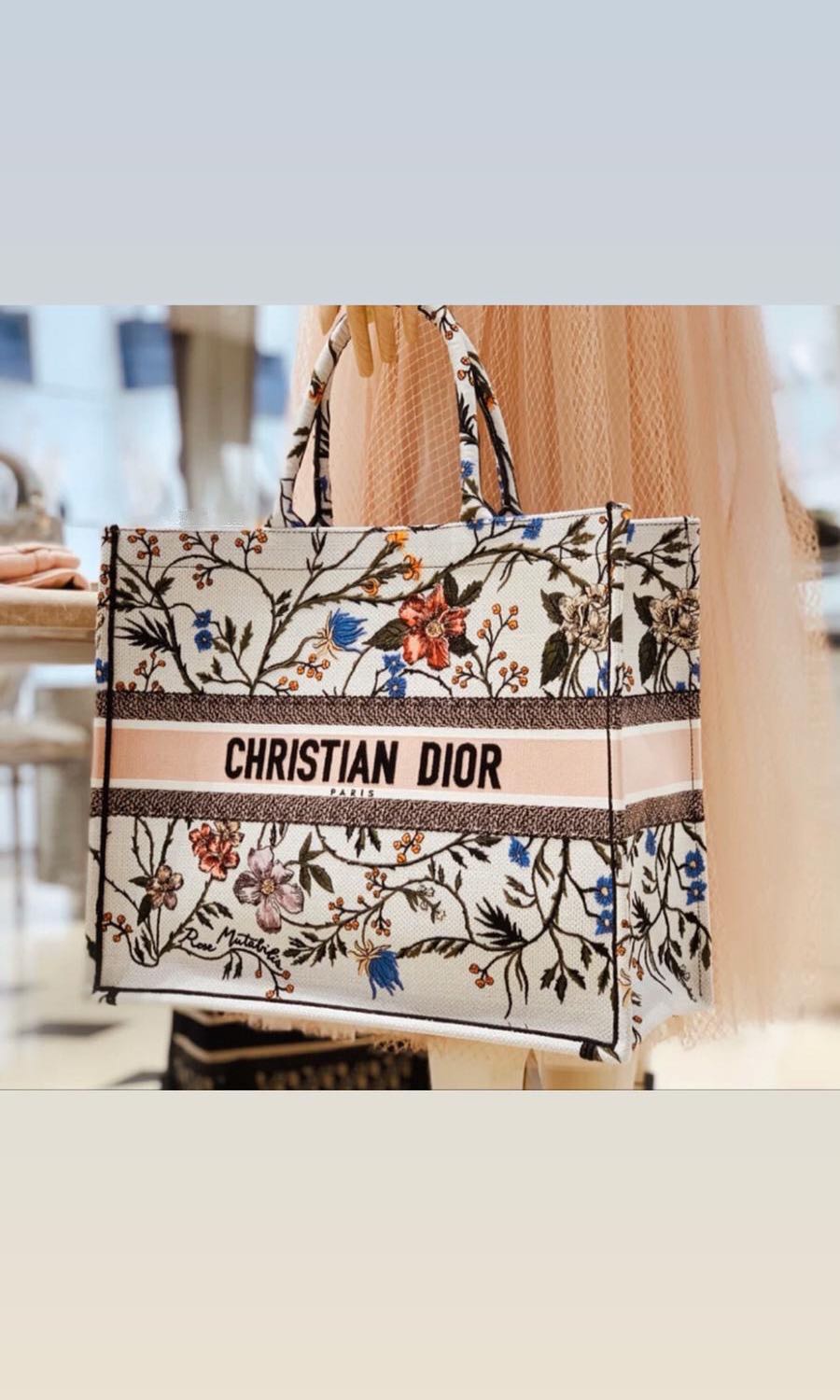 Dior Small Book Tote 🌸 Rosa Mutabilis Embroidery, Luxury, Bags